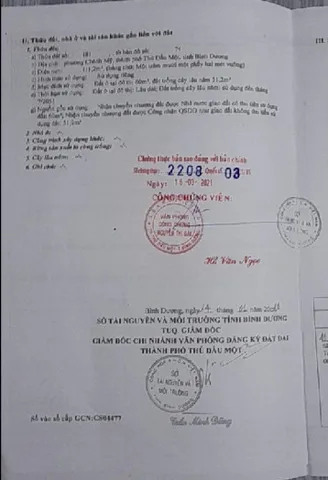Bất động sản tại Bình Dương - ảnh 1