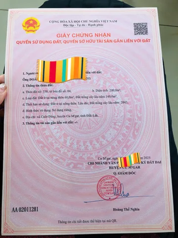 Bất động sản tại Đắk Lắk - ảnh 1