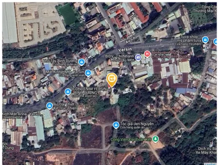 Bất động sản tại Bình Dương - ảnh 1