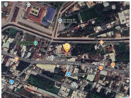 Bất động sản tại Bình Dương - ảnh 1