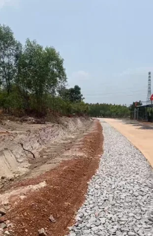 Bất động sản tại Đồng Nai - ảnh 1