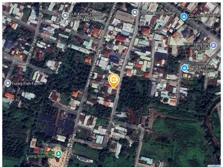 Bất động sản tại Bình Dương - ảnh 1