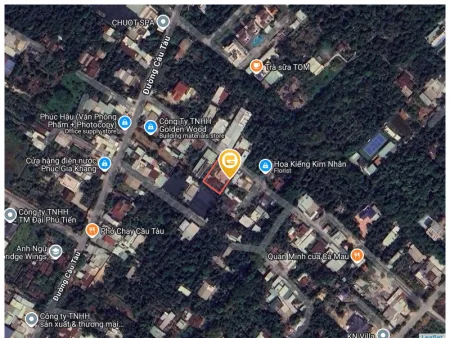Bất động sản tại Bình Dương - ảnh 1