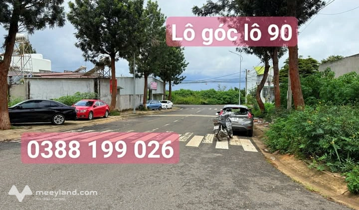 Bất động sản tại Lâm Đồng - ảnh 1