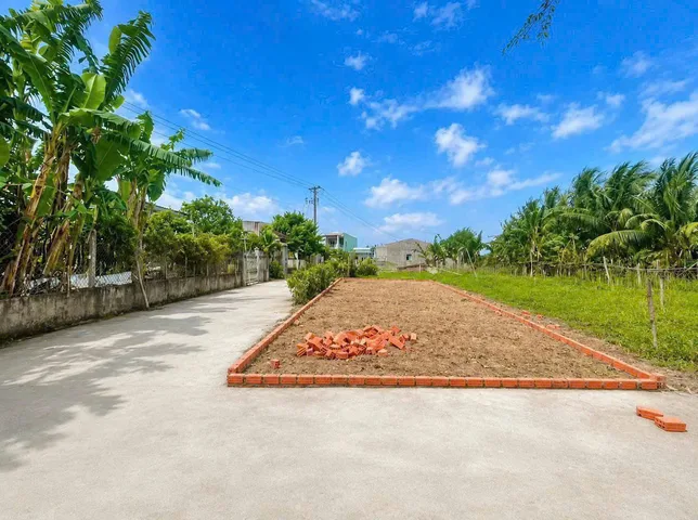 Bất động sản tại Đà Nẵng - ảnh 1