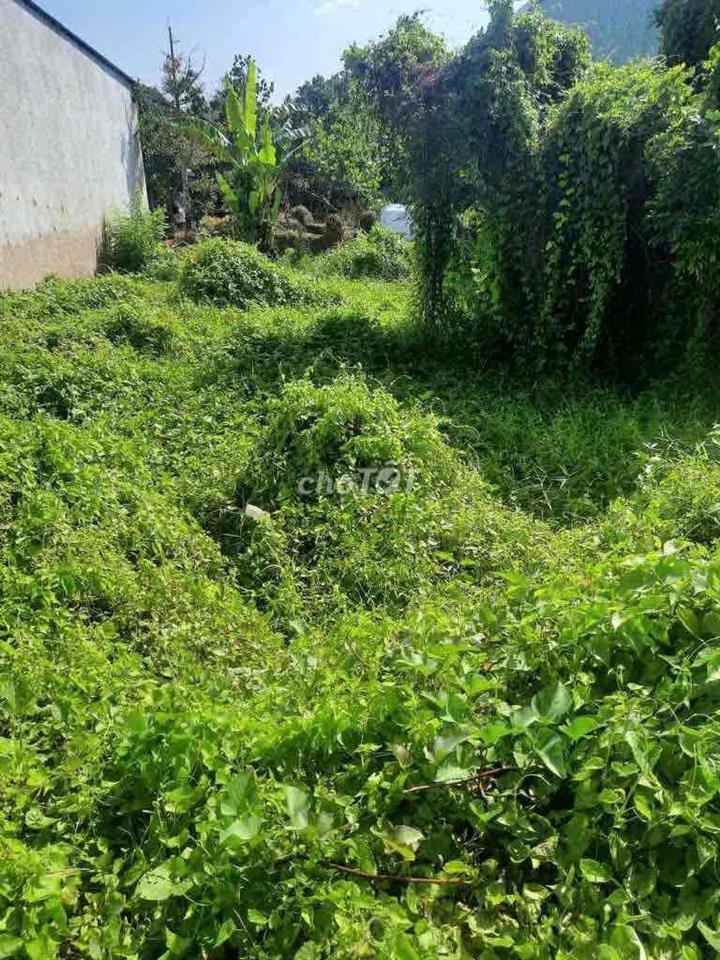 Bất động sản tại Tiền Giang - ảnh 1