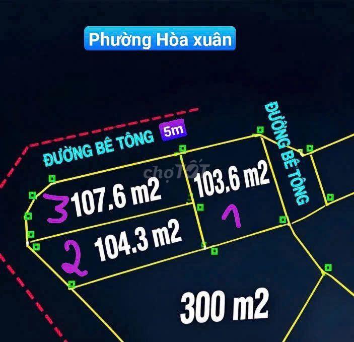 Bất động sản tại Đà Nẵng - ảnh 1