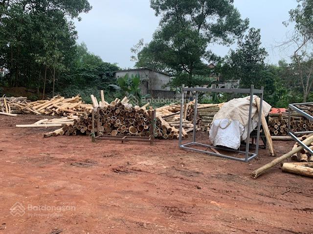 Bất động sản tại Thanh Hóa - ảnh 1