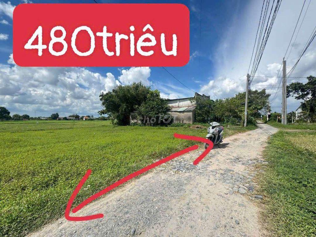 Bất động sản tại Long An - ảnh 1