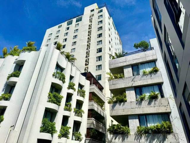 Bất động sản tại Đà Nẵng - ảnh 1
