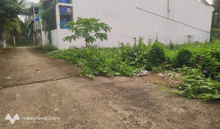 Bất động sản tại Bến Tre - ảnh 1