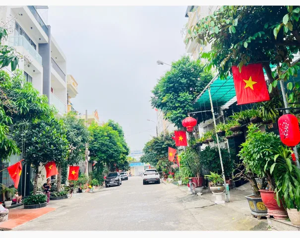 Bất động sản tại Hải Phòng - ảnh 1