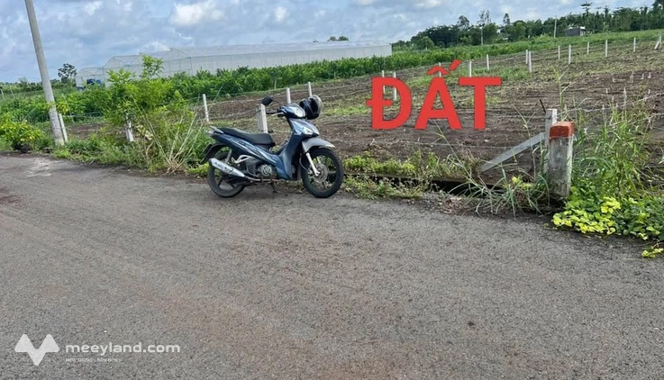 Bất động sản tại Bà Rịa - Vũng Tàu - ảnh 1