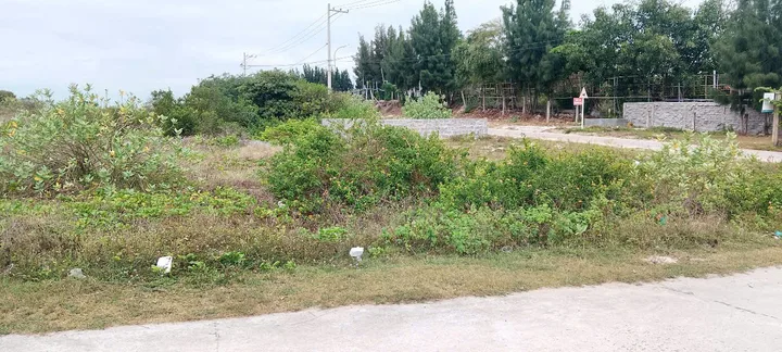 Bất động sản tại Khánh Hòa - ảnh 1