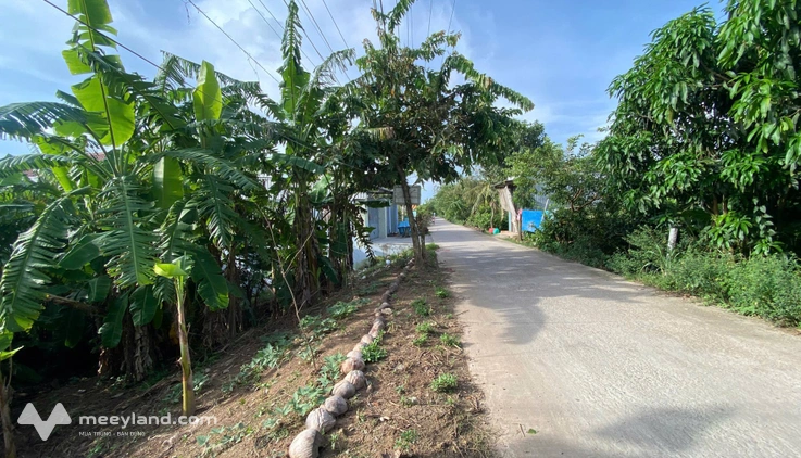 Bất động sản tại An Giang - ảnh 1