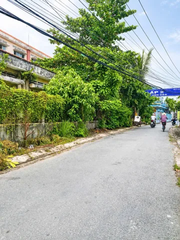 Bất động sản tại Long An - ảnh 1