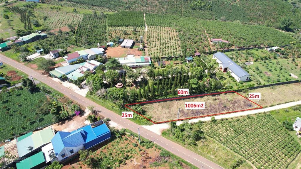 Bất động sản tại Lâm Đồng - ảnh 1
