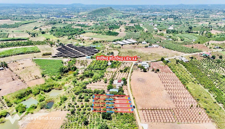 Bất động sản tại Đắk Lắk - ảnh 1