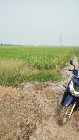 Bất động sản tại Long An - ảnh 1