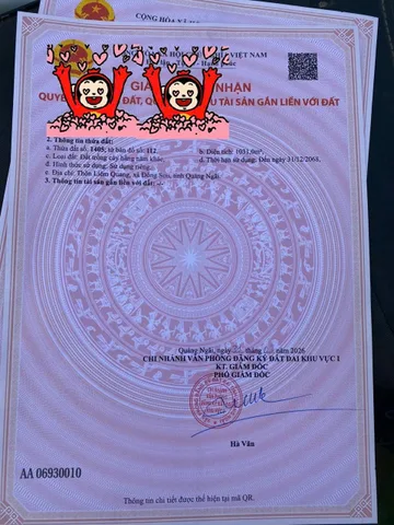 Bất động sản tại Quảng Ngãi - ảnh 1