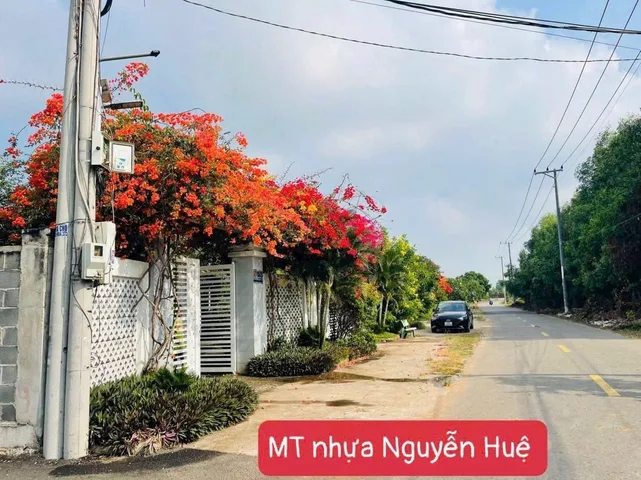 Bất động sản tại Bà Rịa - Vũng Tàu - ảnh 1