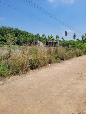 Bất động sản tại Bình Phước - ảnh 1