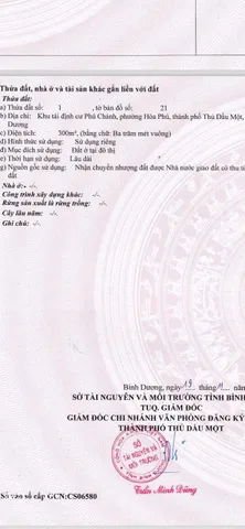 Bất động sản tại Bình Dương - ảnh 1