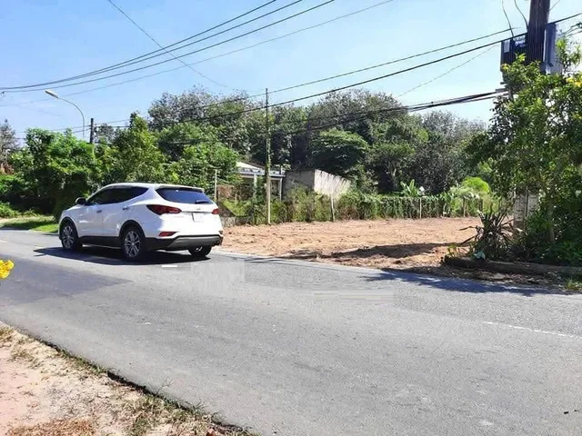 Bất động sản tại Đồng Nai - ảnh 1