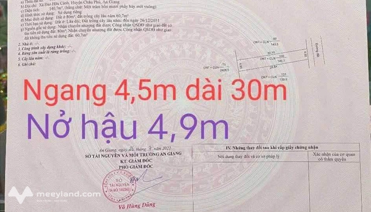 Bất động sản tại An Giang - ảnh 1