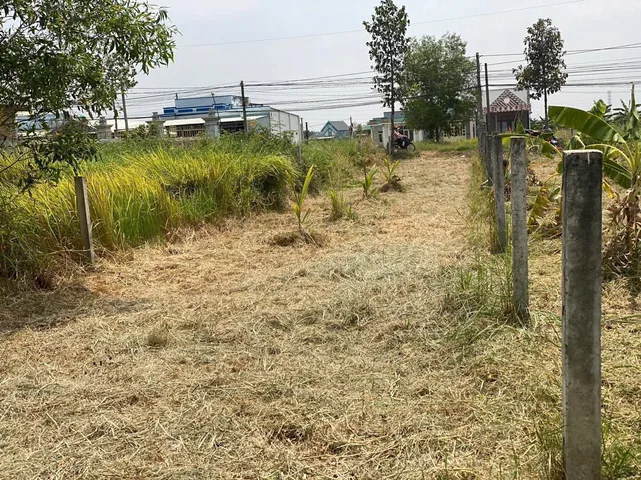 Bất động sản tại Long An - ảnh 1