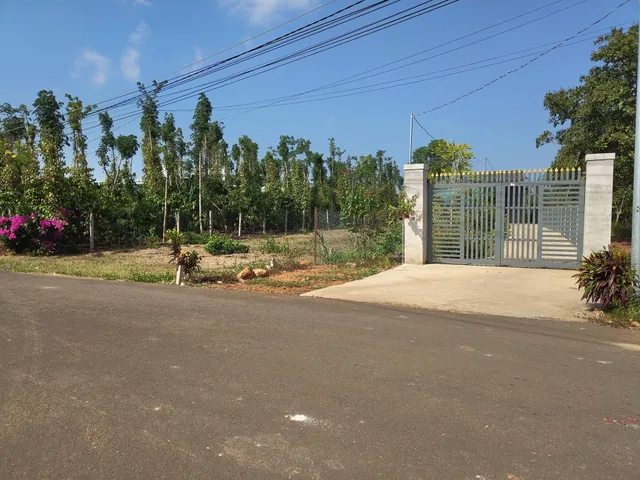 Bất động sản tại Bà Rịa - Vũng Tàu - ảnh 1