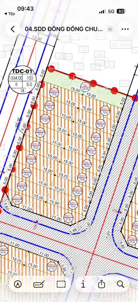 Bất động sản tại Hải Phòng - ảnh 1