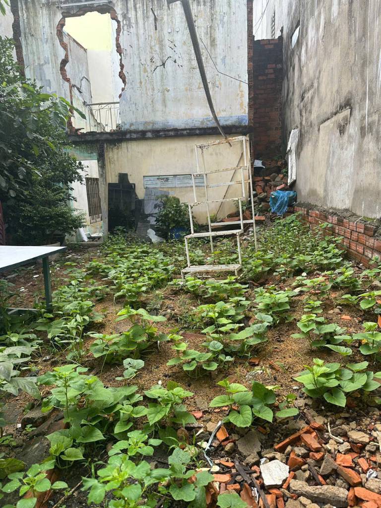 Bất động sản tại Khánh Hòa - ảnh 1