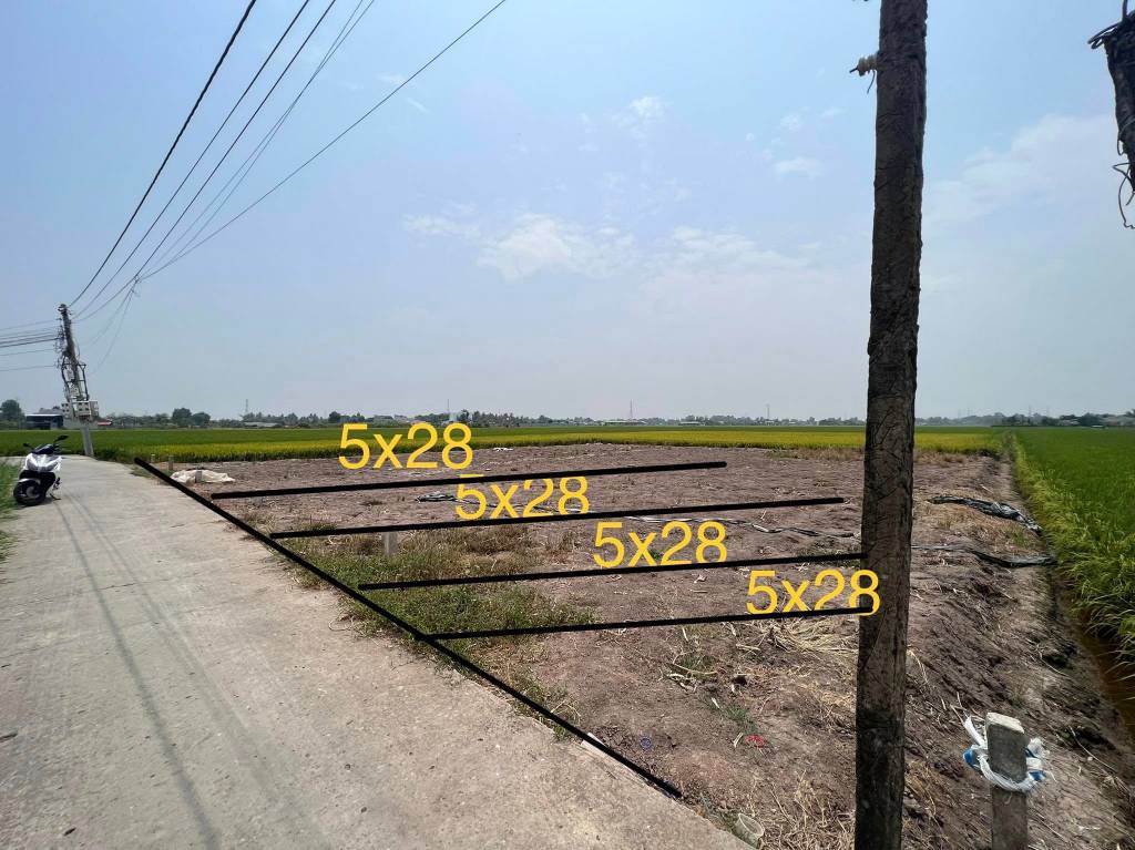 Bất động sản tại Long An - ảnh 1