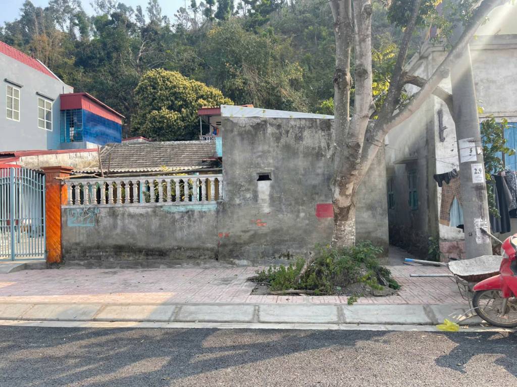 Bất động sản tại Hải Phòng - ảnh 1