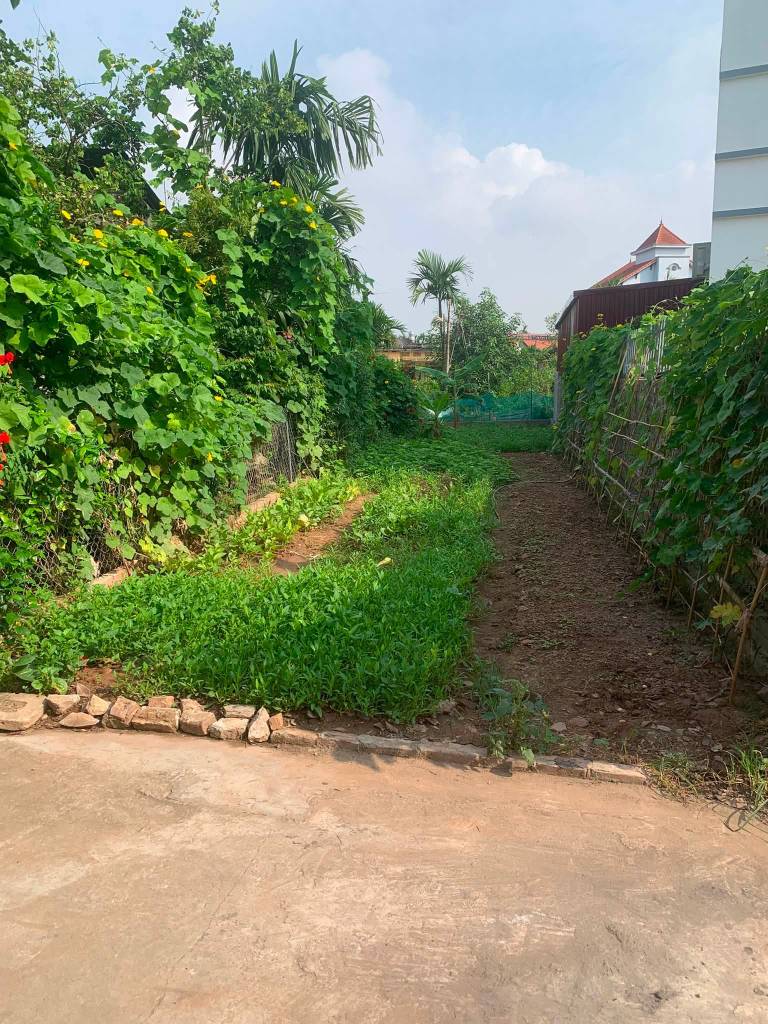 Bất động sản tại Hưng Yên - ảnh 1