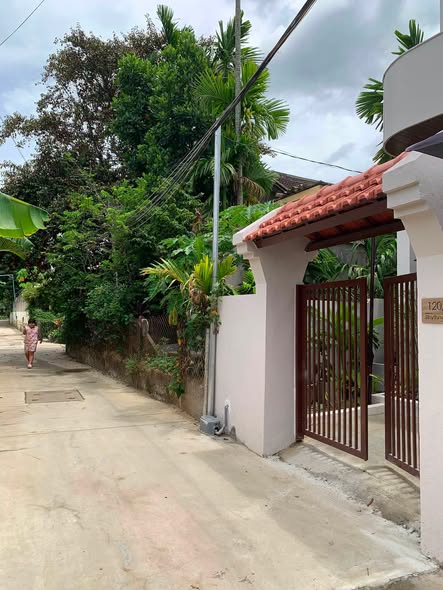 Bất động sản tại Đà Nẵng - ảnh 1