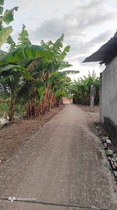 Bất động sản tại Kiên Giang - ảnh 1