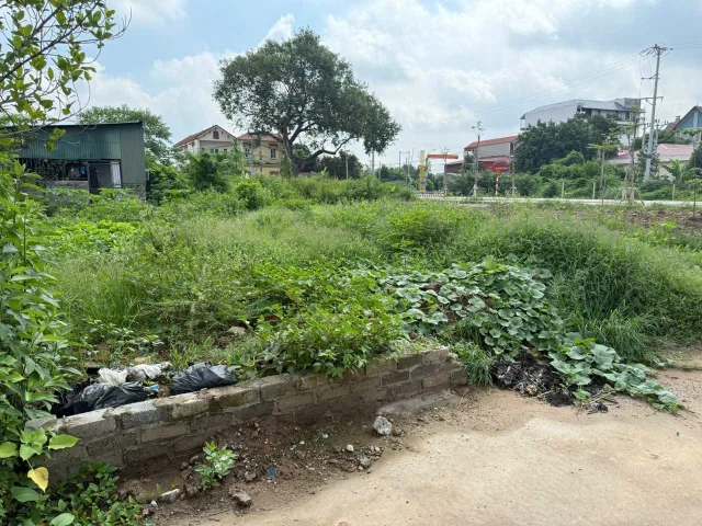 Bất động sản tại Hưng Yên - ảnh 1