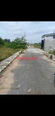 Bất động sản tại Long An - ảnh 1