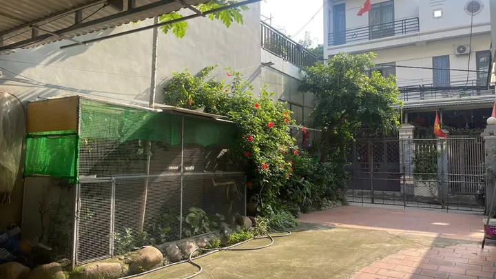 Bất động sản tại Phú Thọ - ảnh 1