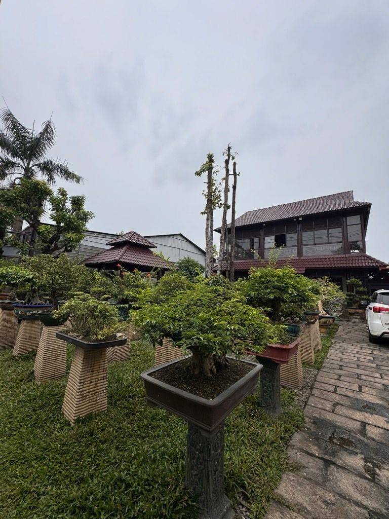 Bất động sản tại Bình Dương - ảnh 1