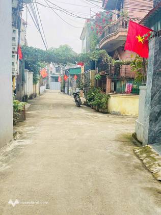 Bất động sản tại Nghệ An - ảnh 1