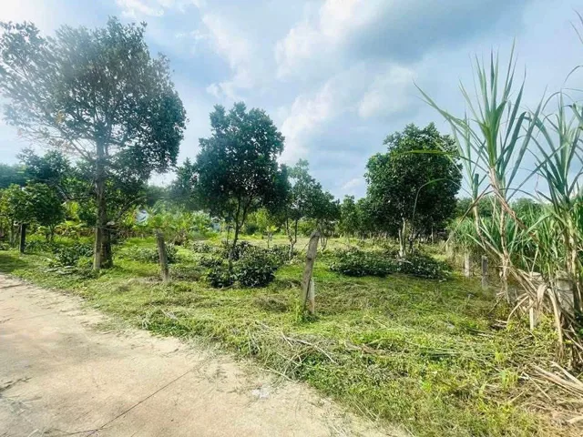 Bất động sản tại Bình Dương - ảnh 1