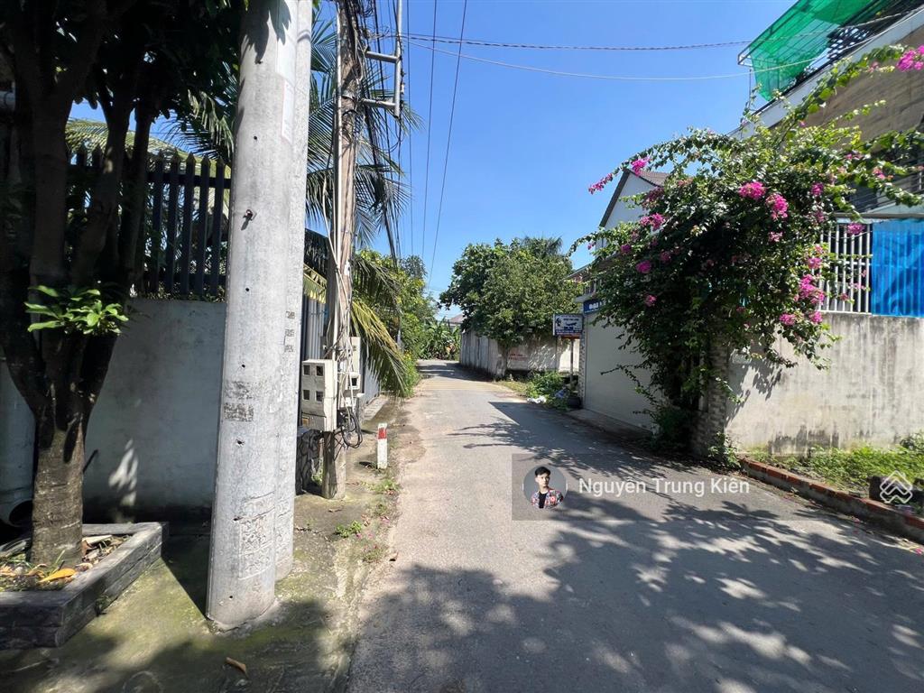 Bất động sản tại Bình Dương - ảnh 1