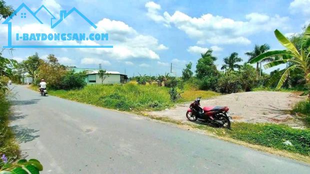 Bất động sản tại Long An - ảnh 1