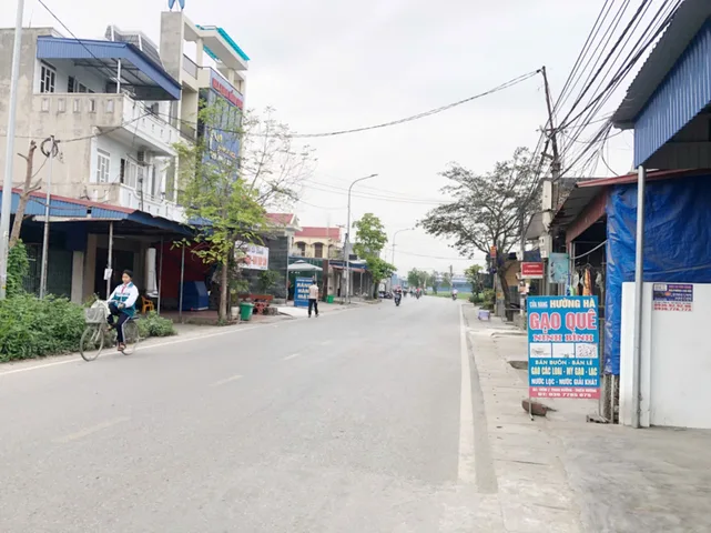Bất động sản tại Hải Phòng - ảnh 1