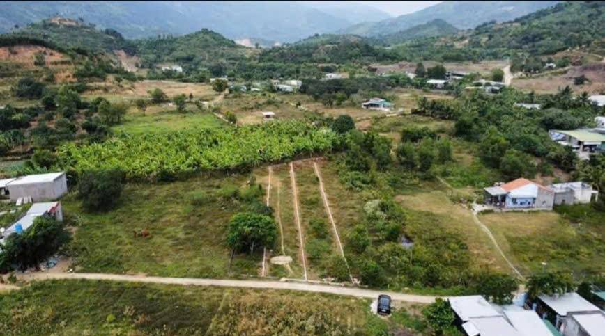 Bất động sản tại Khánh Hòa - ảnh 1
