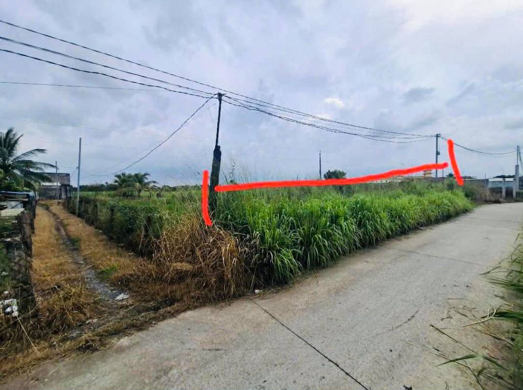 Bất động sản tại Long An - ảnh 1