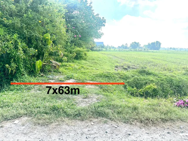 Bất động sản tại Tây Ninh - ảnh 1